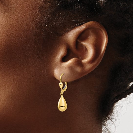 Million Charms 10k Yellow Gold Polished Fancy Dangle Leverback Earrings, 29mm x 7mm