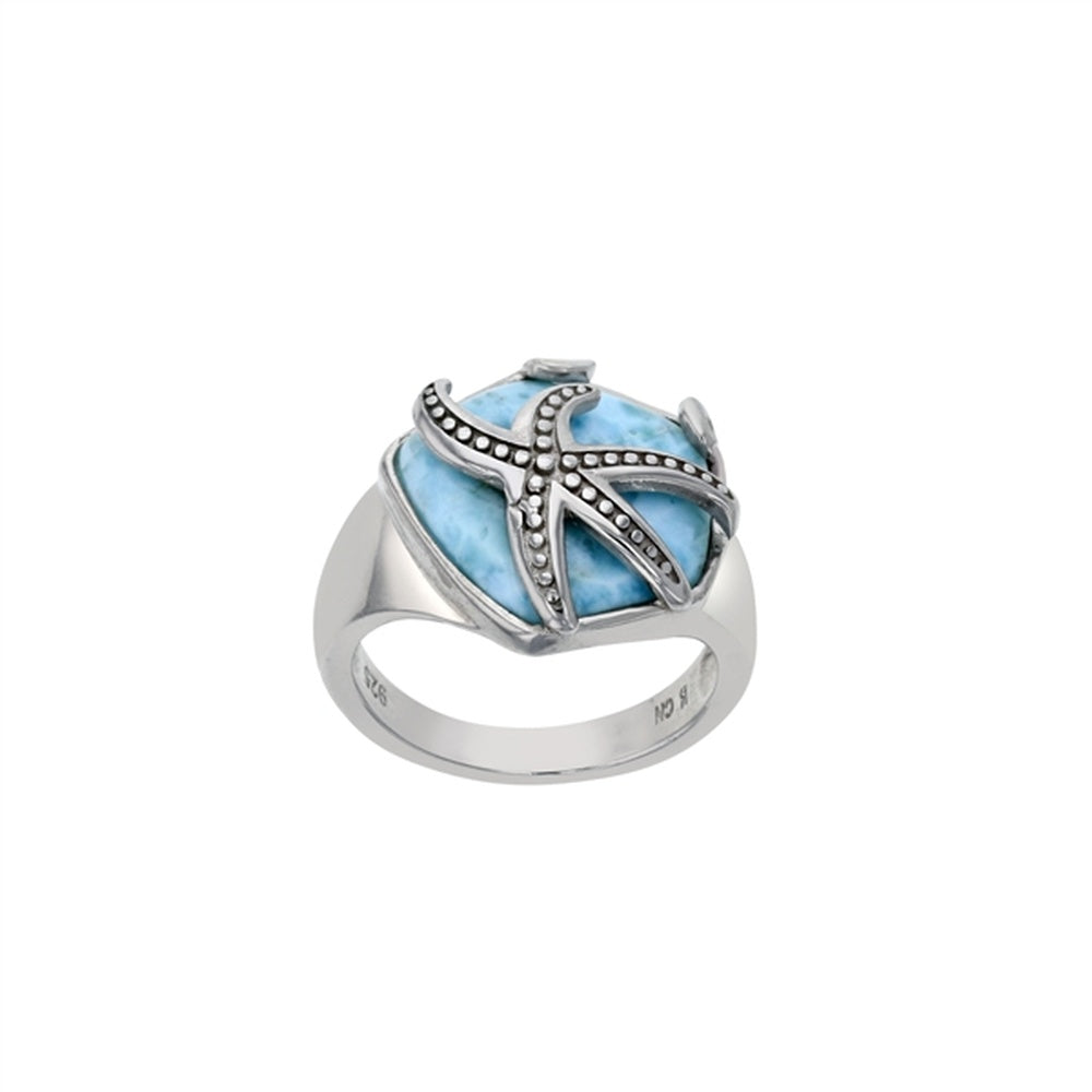 925 Sterling Silver Larimar Dolphin Band Ring 3.1 gm