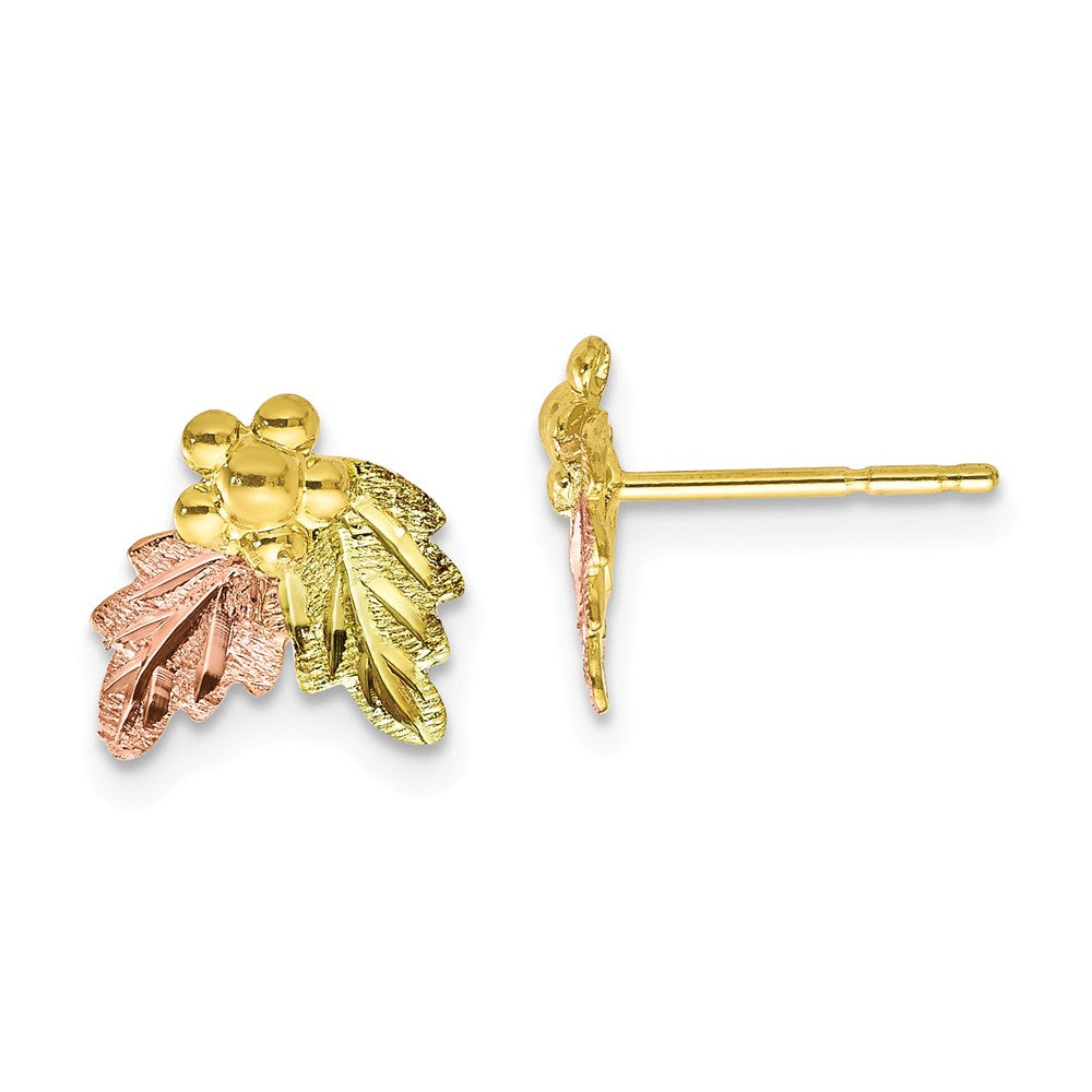 Black Hills Gold 10k Yellow Gold Tri-color Post Earrings, 9mm x 10mm