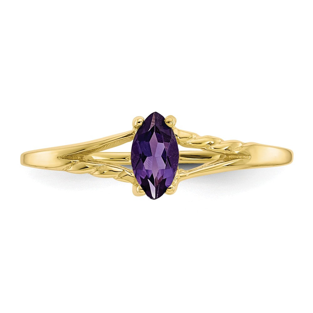 10k Yellow Gold Polished Geniune Amethyst Birthstone Ring, Size: 7