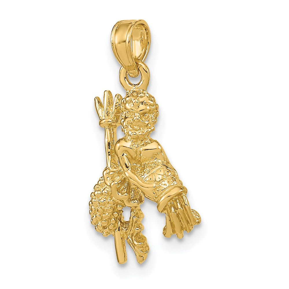 Million Charms 14K Yellow Gold Themed 3-D Aquarius Zodiac Charm