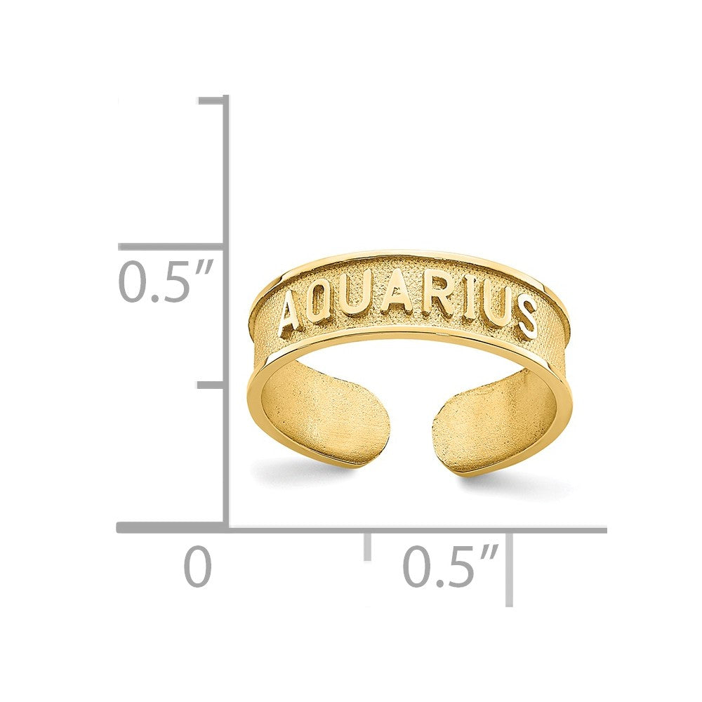 14k Yellow Gold Brushed & Polished Zodiac Aquarius Toe Ring