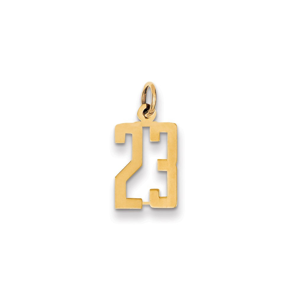 Million Charms 14K Yellow Gold Themed Small Polished Elongated 23 Charm