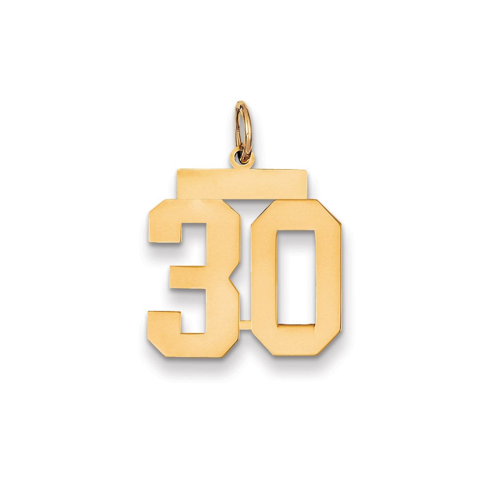 Million Charms 14K Yellow Gold Themed Medium Polished Number 30 Charm