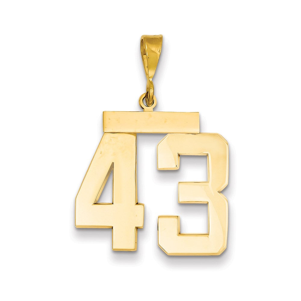 Million Charms 14K Yellow Gold Themed Large Polished Number 43 Charm