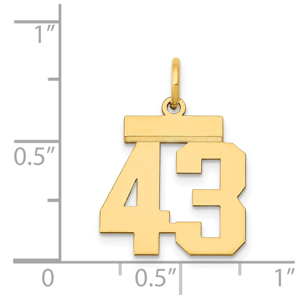 Million Charms 14K Yellow Gold Themed Small Polished Number 43 Charm