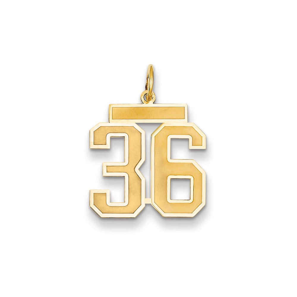 Million Charms 14K Yellow Gold Themed Medium Satin Number 36 Charm