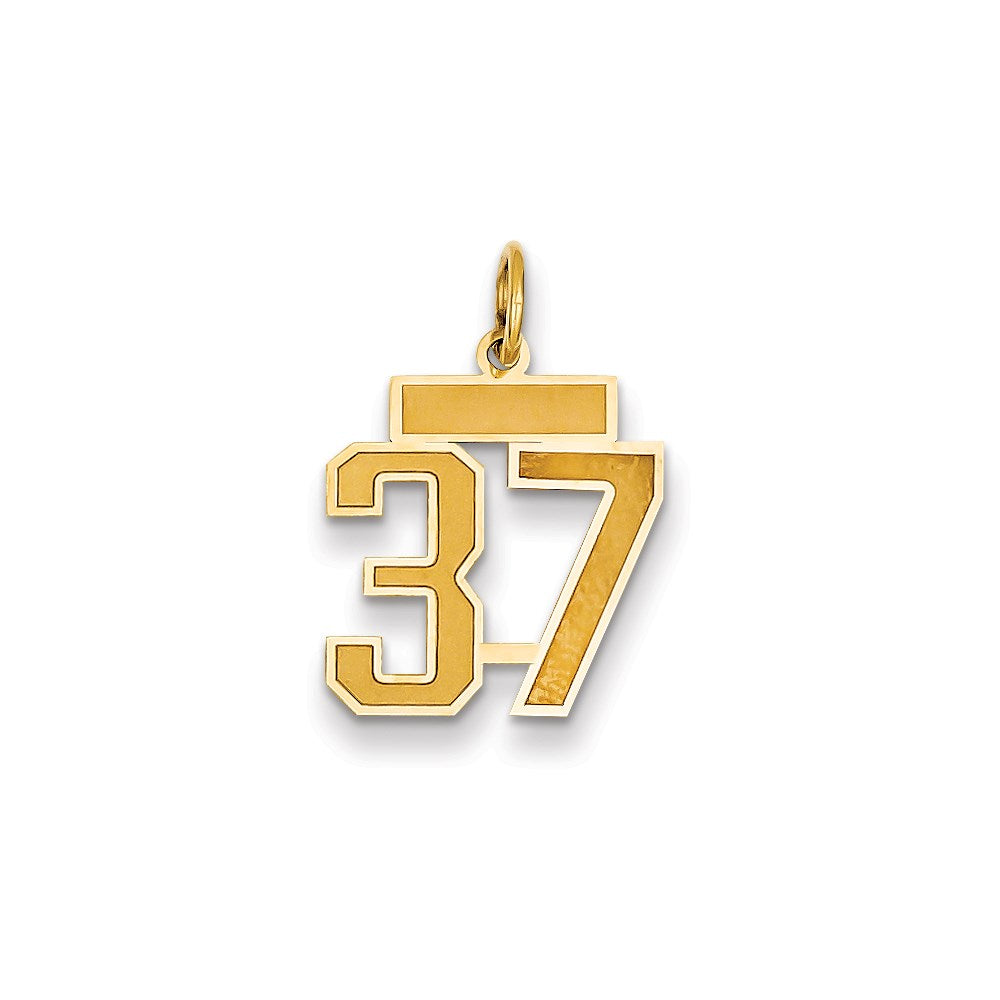Million Charms 14K Yellow Gold Themed Small Satin Number 37 Charm