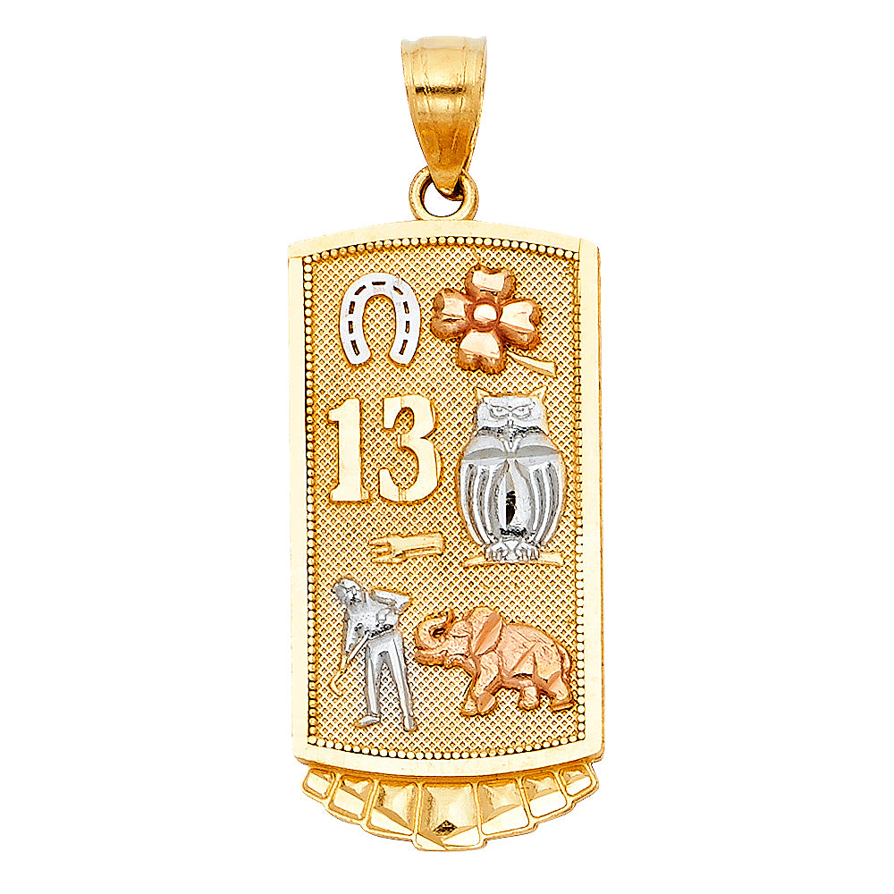 14K Tri-Color Gold Lucky Charm Pendant (27mm x 18mm)