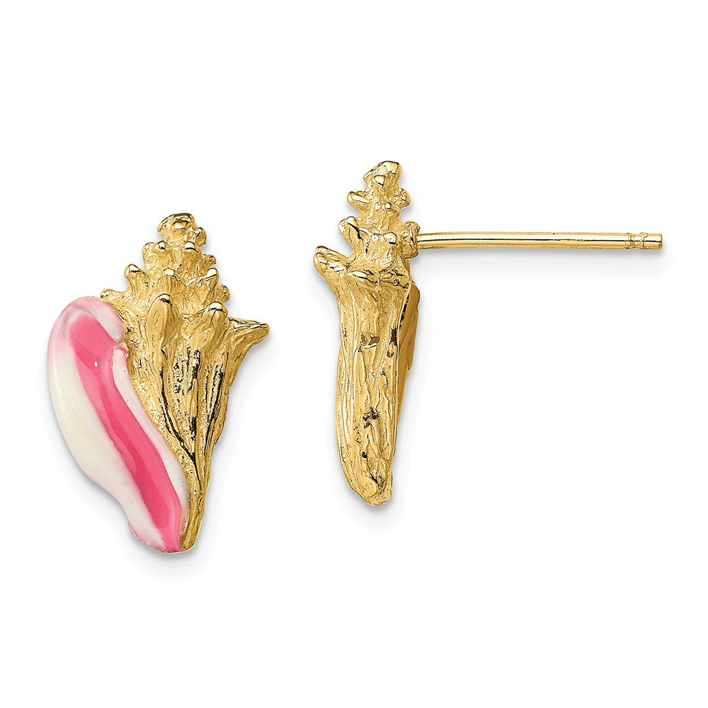 Million Charms 14k Yellow Gold White & Pink Enamel Conch Shell Post Earrings, 15.4mm x 9.4mm