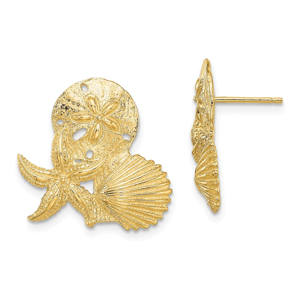 Million Charms 14k Yellow Gold Sand Dollar, Starfish, & Scallop Cluster Post Earrings, 18.45mm x 19.6mm