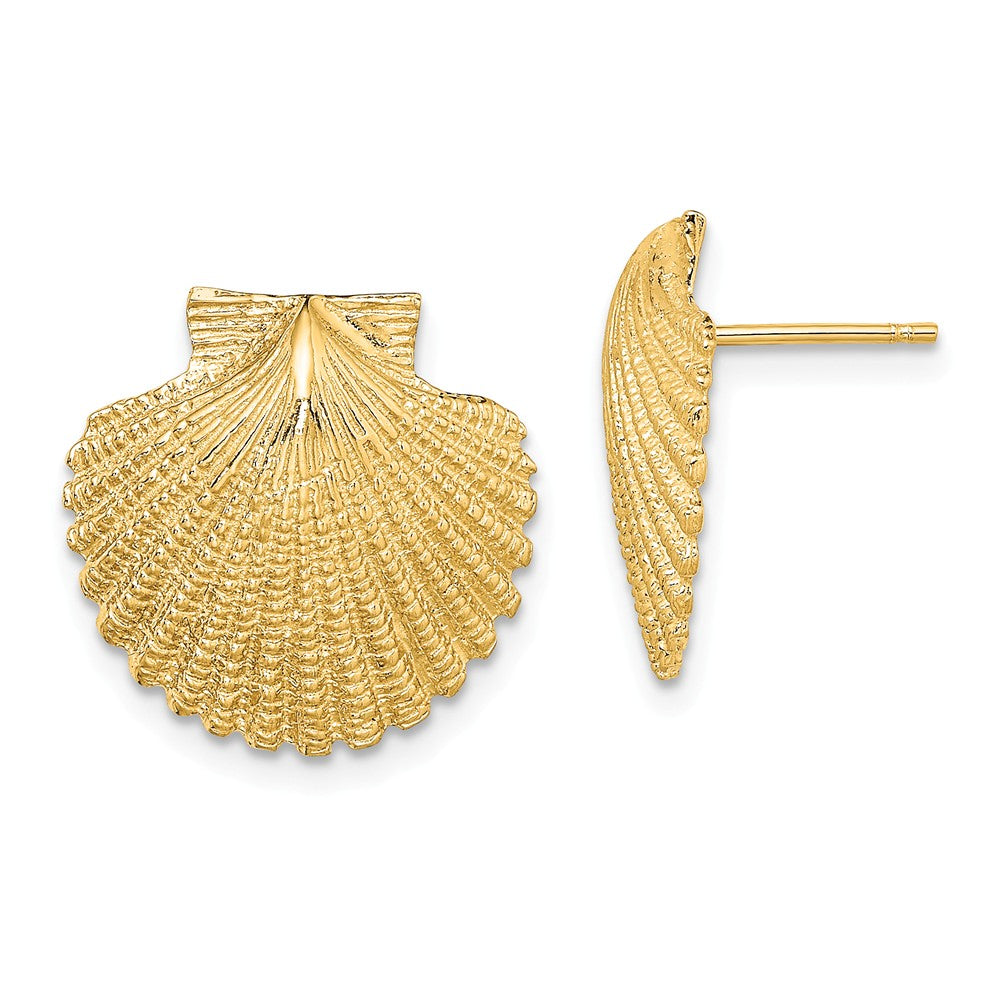 Million Charms 14k Yellow Gold 2-D & Textured Scallop Shell Post Earrings, 16.4mm x 16.6mm