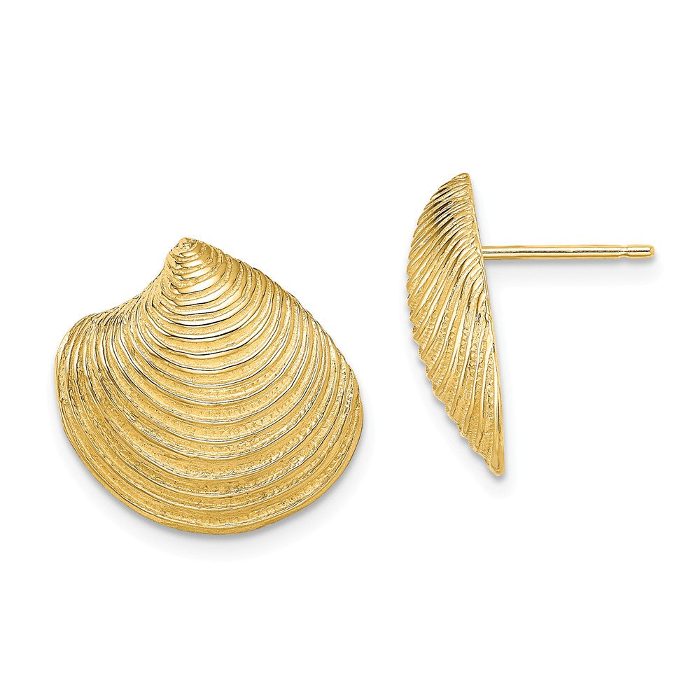Million Charms 14k Yellow Gold 2-D Textured & Polished Clam Shell Post Earrings, 16.05mm x 16.8mm