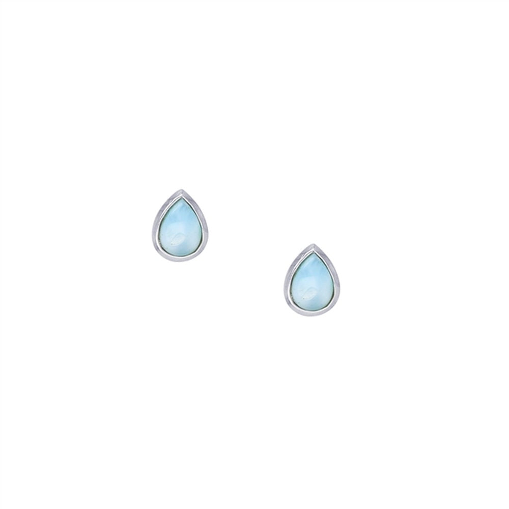 925 Sterling  Silver Turtle Larimar Earrings French Wire 4.19 gm