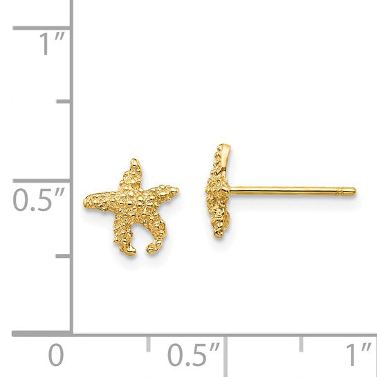 Million Charms 14k Yellow Gold Polished & Textured Starfish Post Earrings, 9mm x 8mm