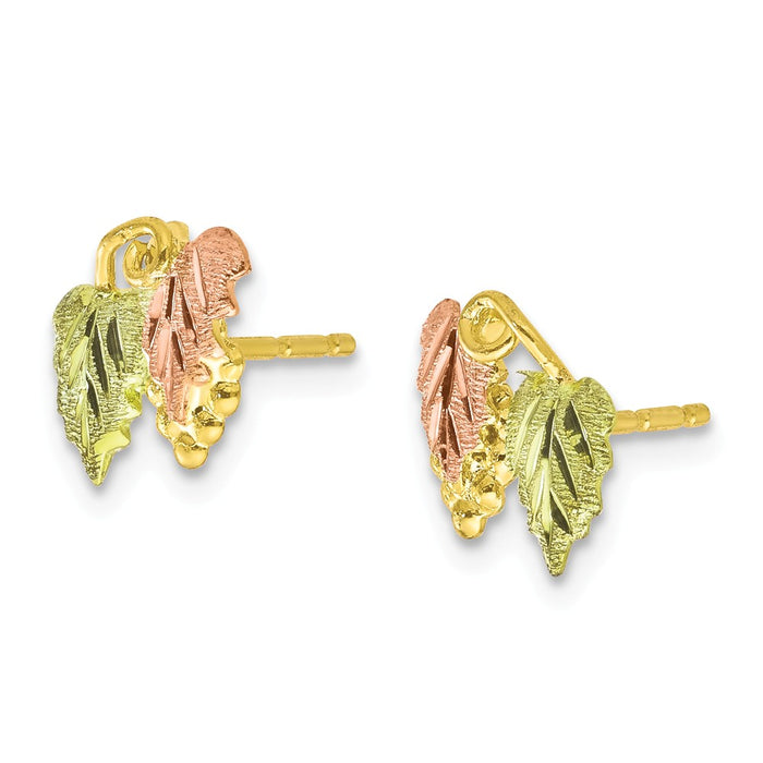 Black Hills Gold 10k Yellow Gold Tri-color Post Earrings, 10mm x 9mm