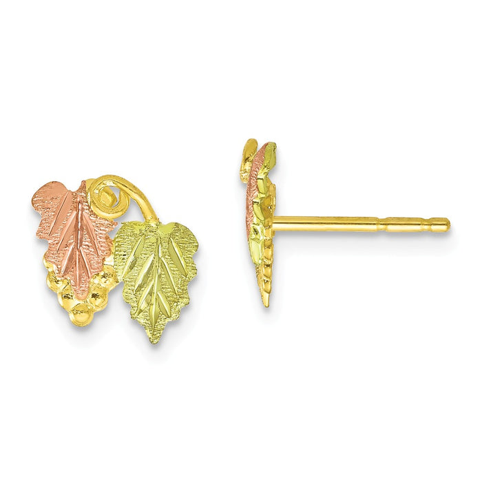Black Hills Gold 10k Yellow Gold Tri-color Post Earrings, 10mm x 9mm