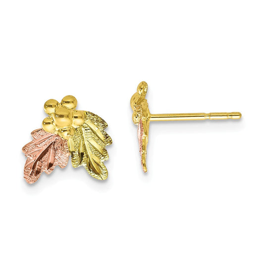 Black Hills Gold 10k Yellow Gold Tri-color Post Earrings, 9mm x 10mm