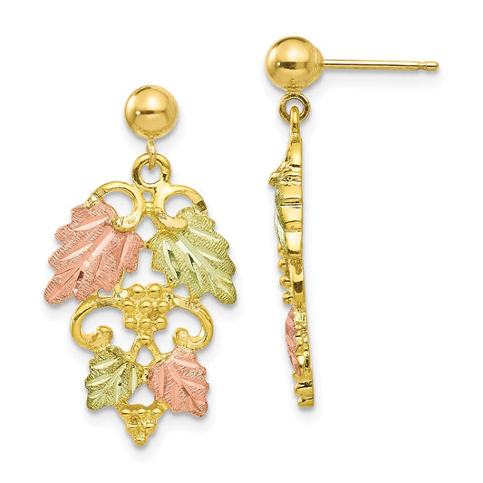 Black Hills Gold 10k Yellow Gold Tri-color Post Earrings, 28mm x 14mm