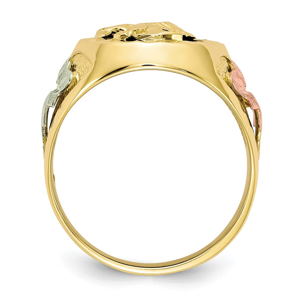 Black Hills Gold 10k Yellow Gold Tri-color Onyx Men's Ring, Size: 10
