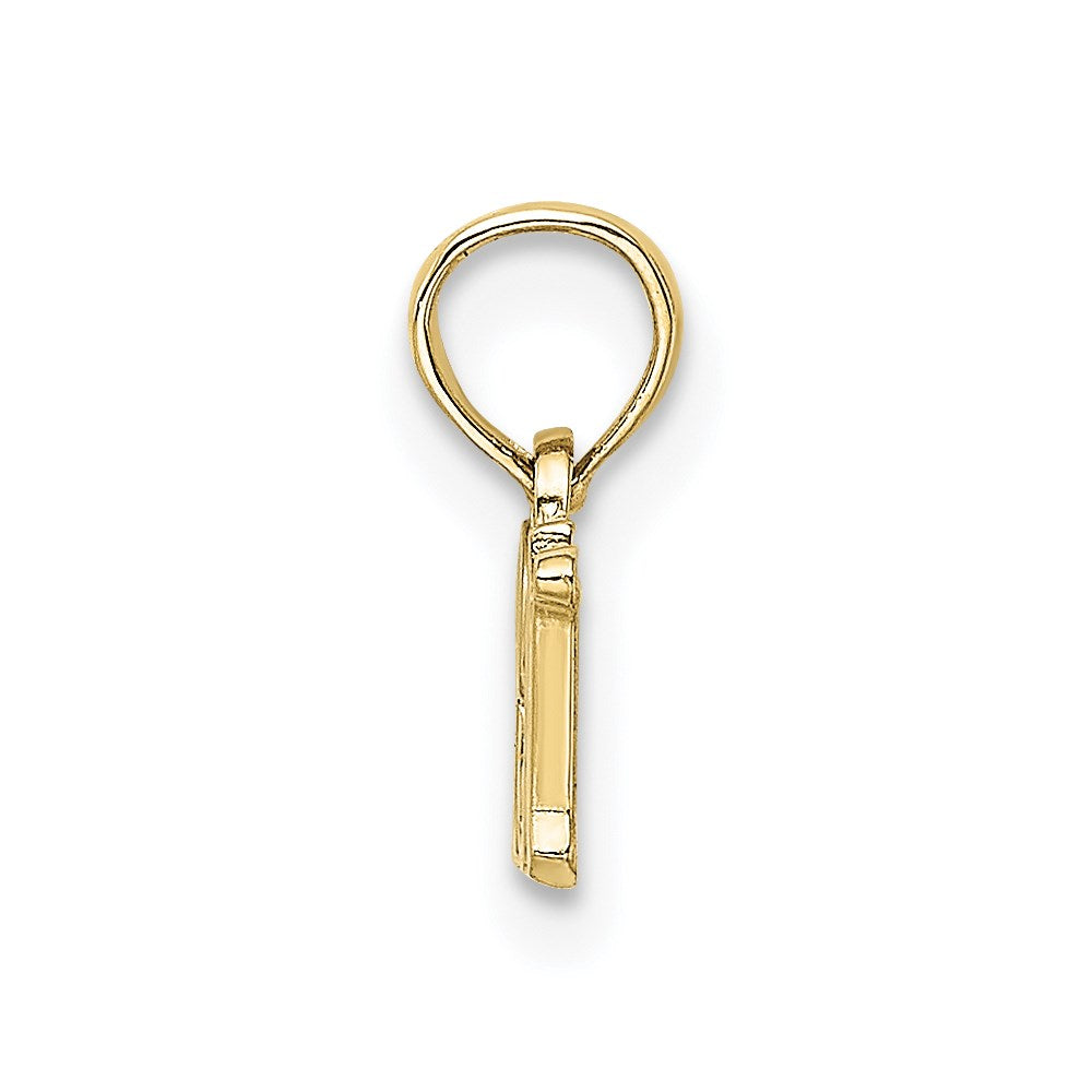 Million Charms 10K Yellow Gold Themed RN (Registered Nurse) Pendant
