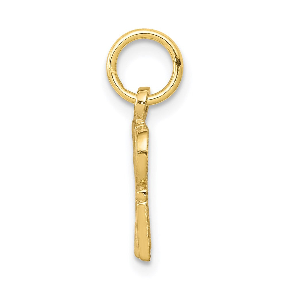 Million Charms 10K Yellow Gold Themed Talking - Spoiled Rotten Charm