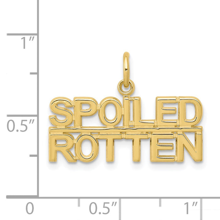 Million Charms 10K Yellow Gold Themed Talking - Spoiled Rotten Charm