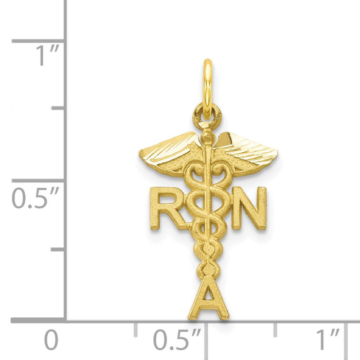 Million Charms 10K Yellow Gold Themed Solid Registered Nurse Charm