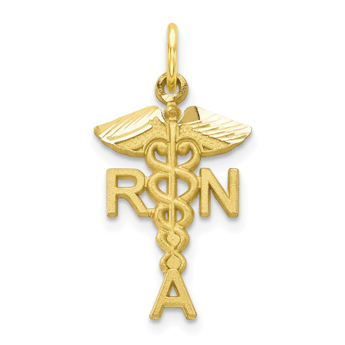 Million Charms 10K Yellow Gold Themed Solid Registered Nurse Charm