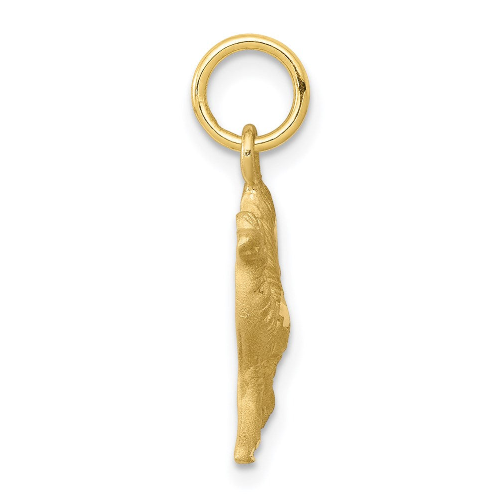 Million Charms 10K Yellow Gold Themed Camel Charm