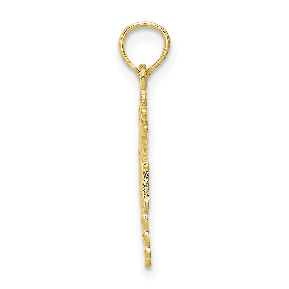 Million Charms 10K Yellow Gold Themed RN (Registered Nurse) & Caduceus Pendant