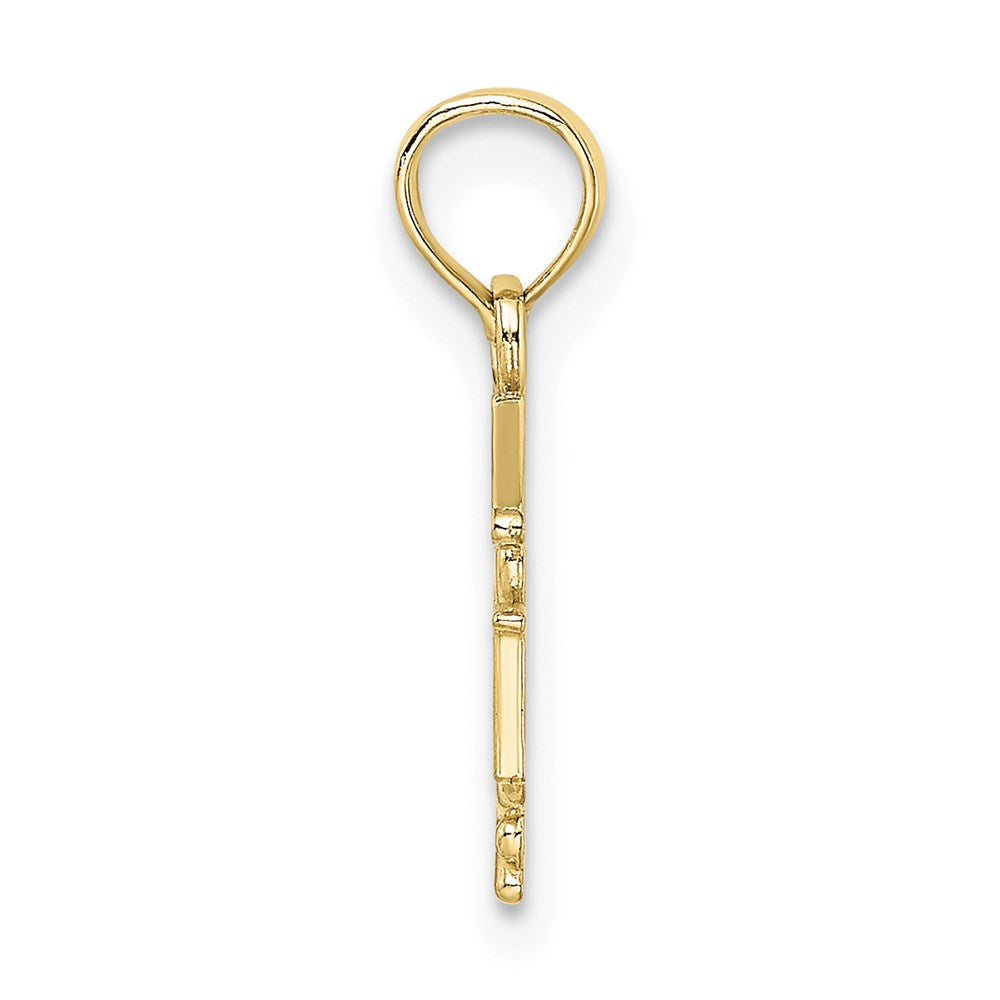 Million Charms 10K Yellow Gold Themed RN (Registered Nurse) Caduceus Pendant