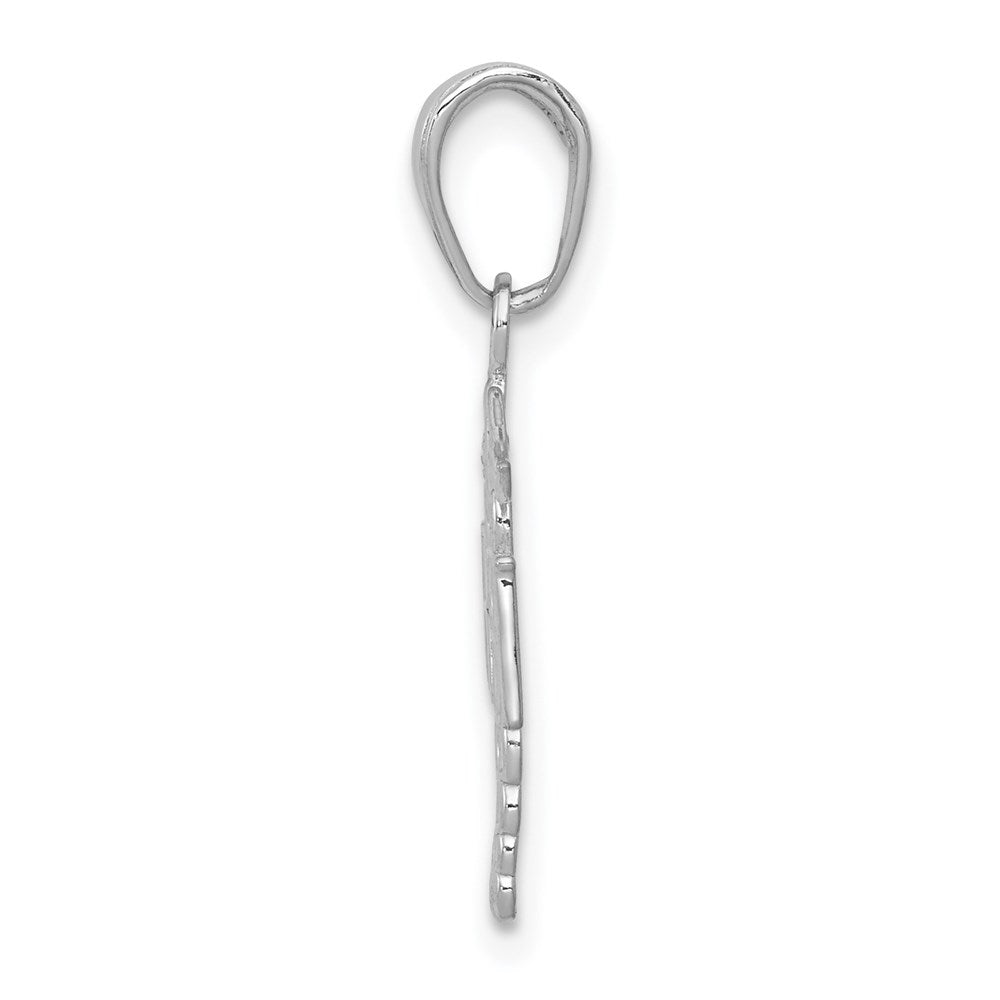 Million Charms 10K White Gold Themed RN (Registered Nurse) & Caduceus Pendant