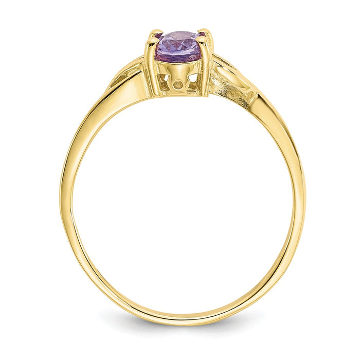 10k Yellow Gold Polished Geniune Amethyst Birthstone Ring, Size: 7