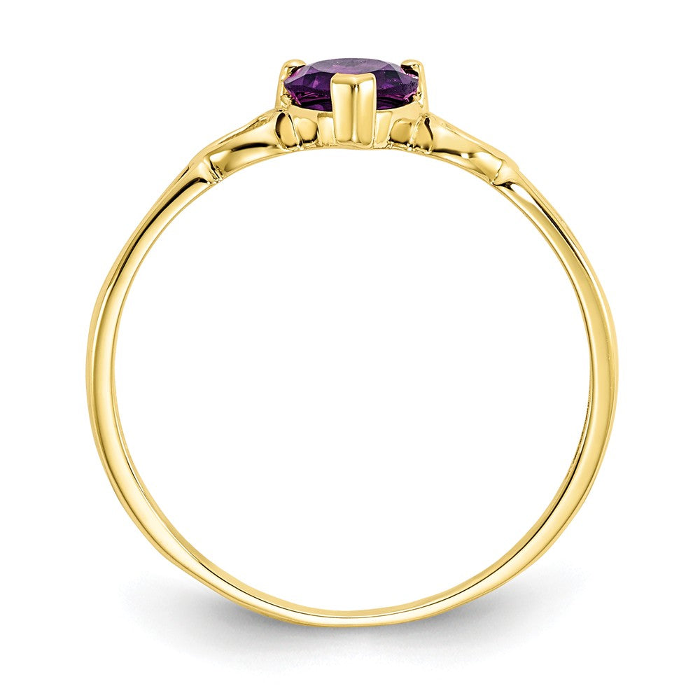 10k Yellow Gold Polished Geniune Amethyst Birthstone Ring, Size: 6