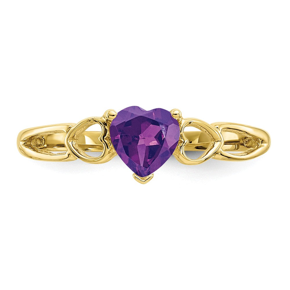 10k Yellow Gold Polished Geniune Amethyst Birthstone Ring, Size: 6