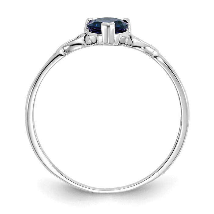 10k White Gold Polished Geniune Sapphire Birthstone Ring, Size: 6