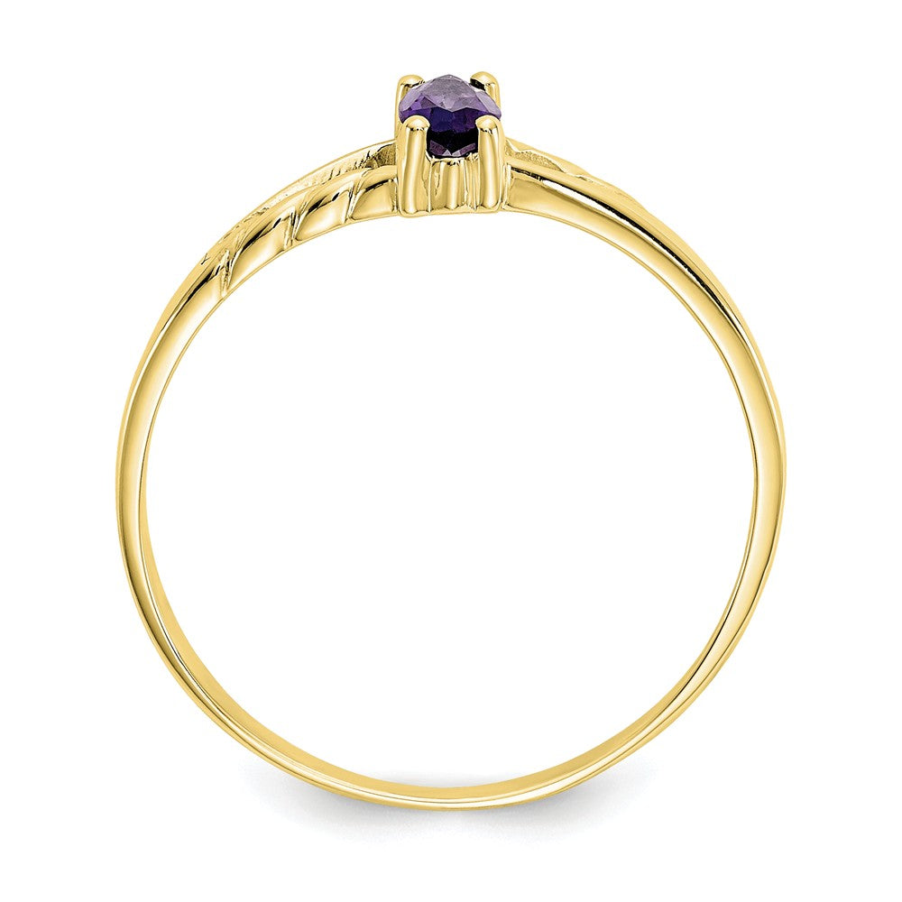10k Yellow Gold Polished Geniune Amethyst Birthstone Ring, Size: 7