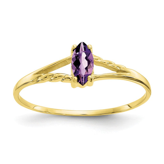10k Yellow Gold Polished Geniune Amethyst Birthstone Ring, Size: 7