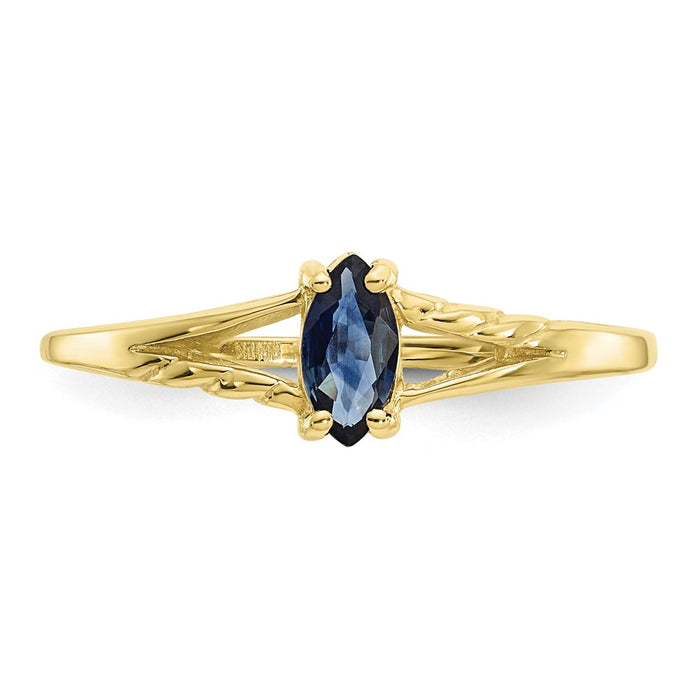 10k Yellow Gold Polished Geniune Sapphire Birthstone Ring, Size: 7