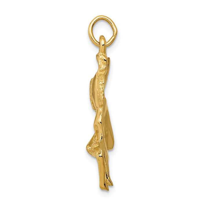 Million Charms 14K Yellow Gold Themed Matador Charm