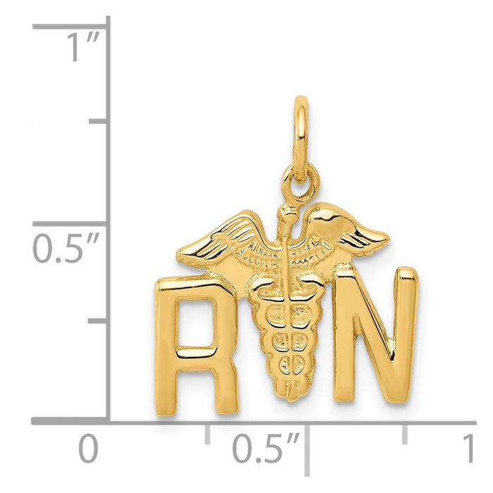 Million Charms 14K Yellow Gold Themed Registered Nurse Charm