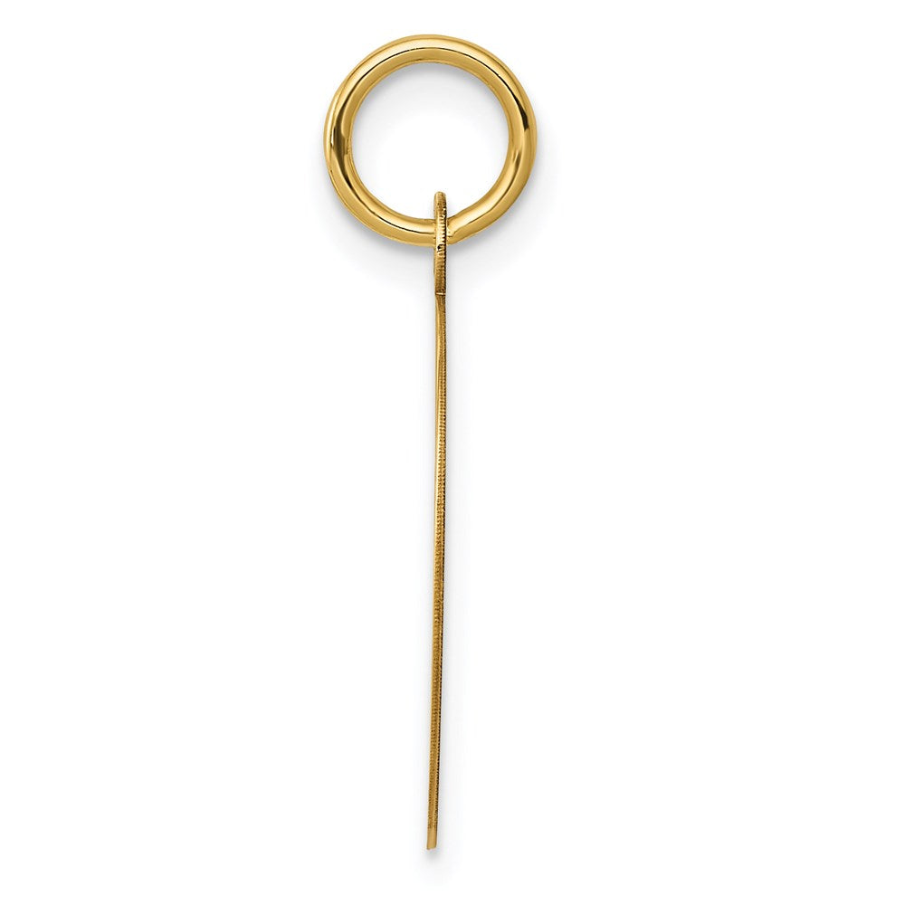 Million Charms 14K Yellow Gold Themed Record Album Charm