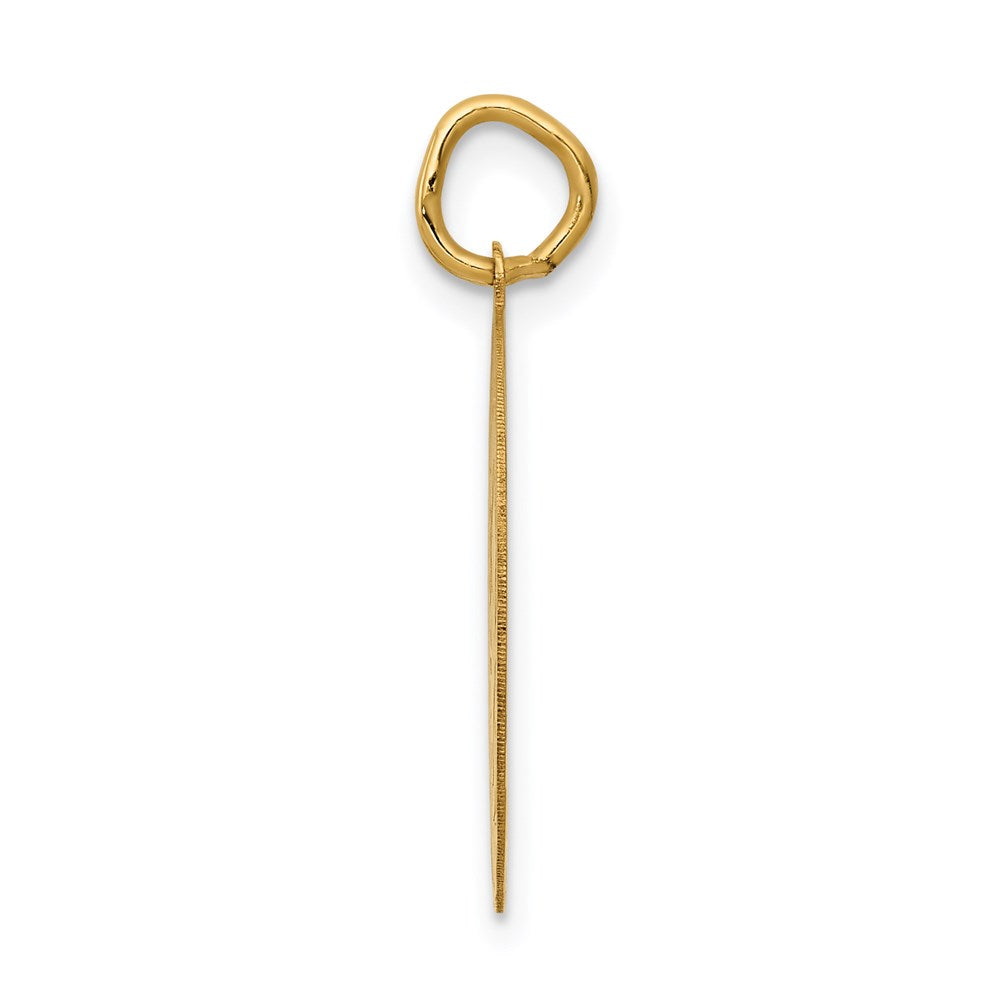 Million Charms 14K Yellow Gold Themed Graduation Day Disc Charm