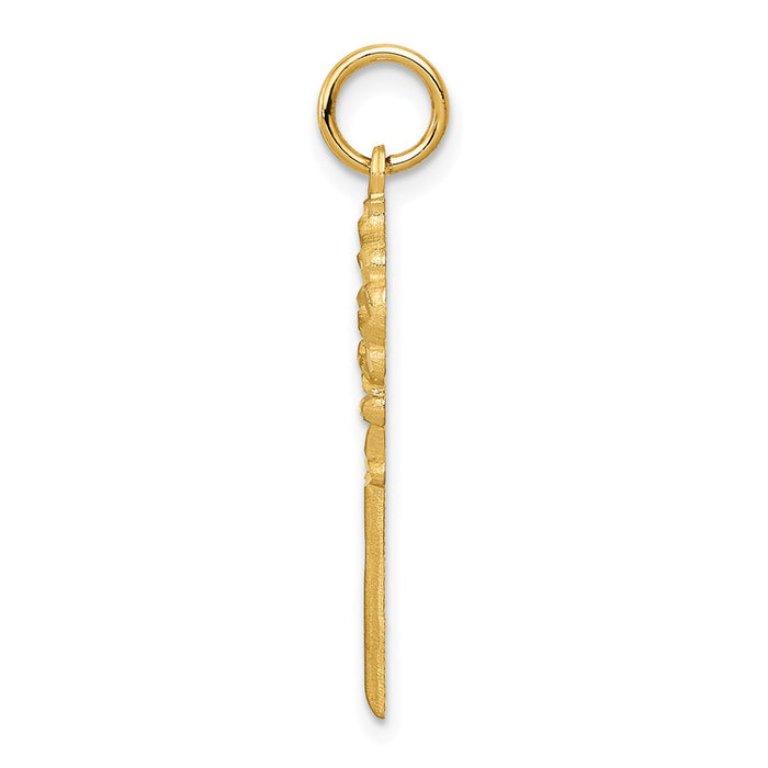 Million Charms 14K Yellow Gold Themed Polished Fancy Edge Key Charm