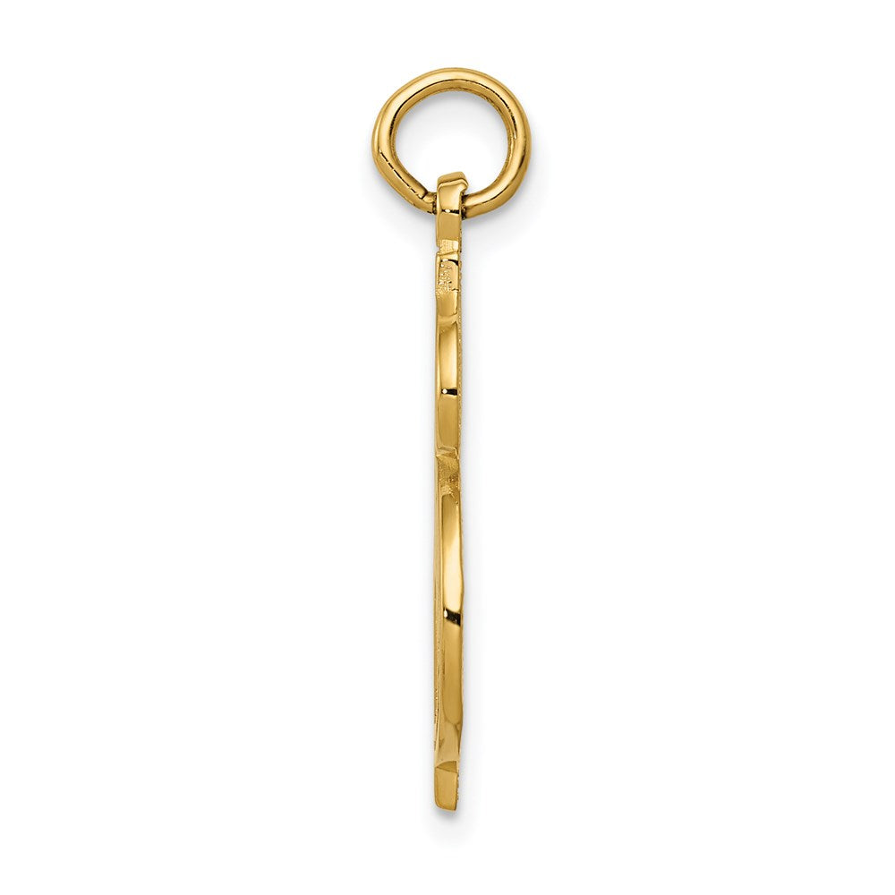 Million Charms 14K Yellow Gold Themed Dollar Sign Charm