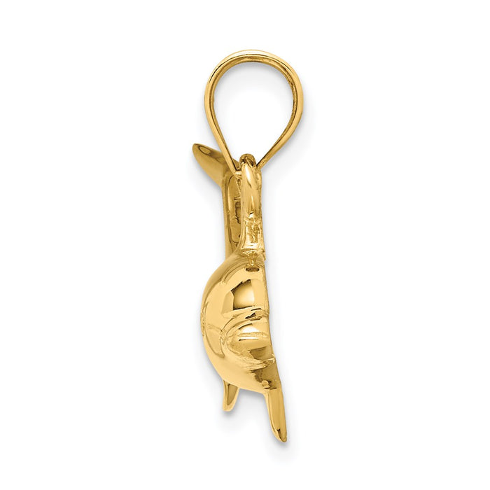 Million Charms 14K Yellow Gold Themed Dolphin Pendant