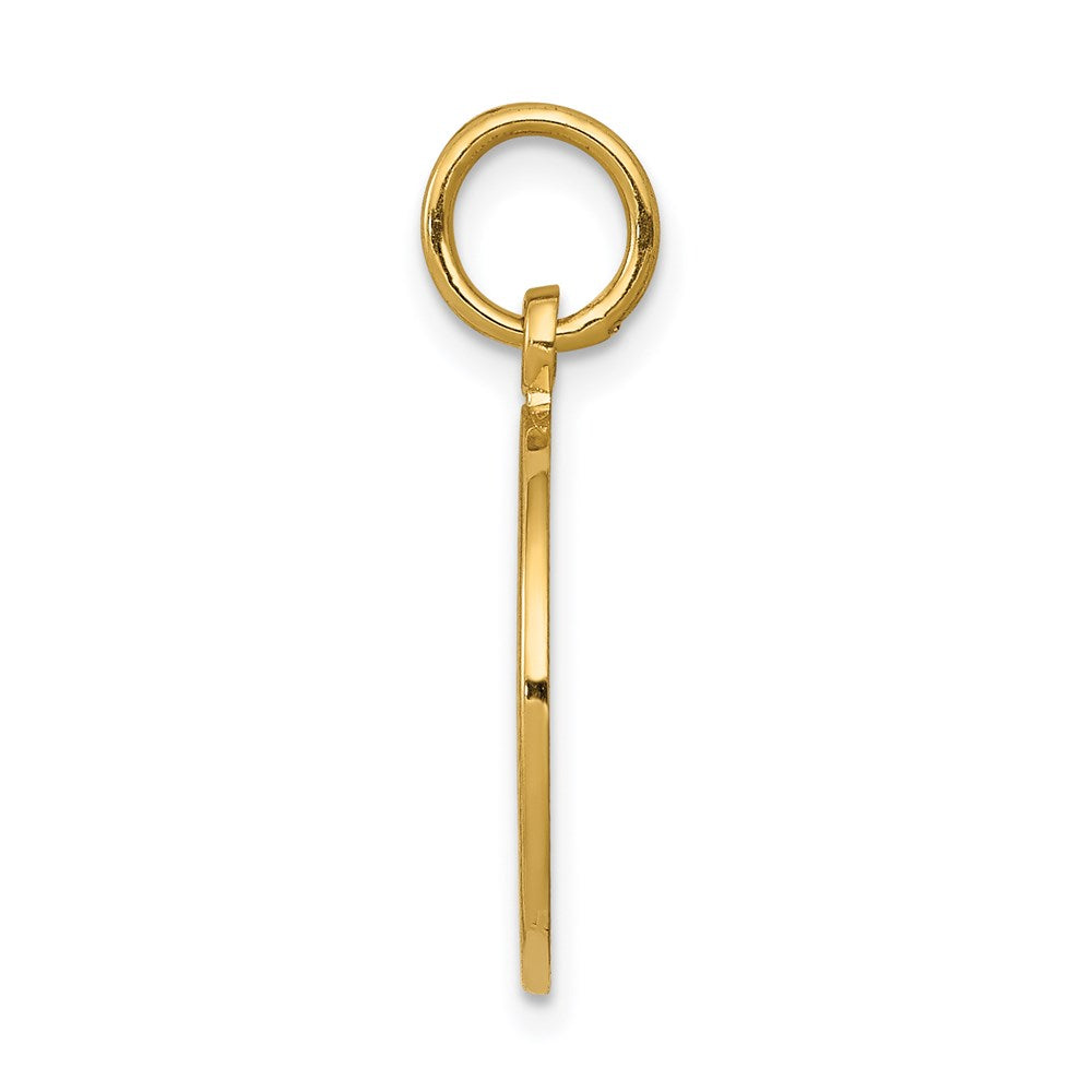 Million Charms 14K Yellow Gold Themed Satin & Polished Communion Charm