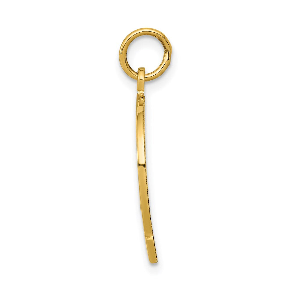 Million Charms 14K Yellow Gold Themed Horseshoe Good Luck Charm
