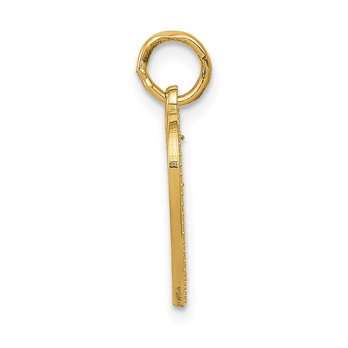 Million Charms 14K Yellow Gold Themed Very Special Sister Charm